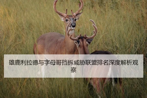 雄鹿利拉德与字母哥挡拆威胁联盟排名深度解析观察