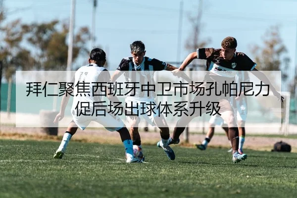 img_1784174967639_2065_1_274.jpg